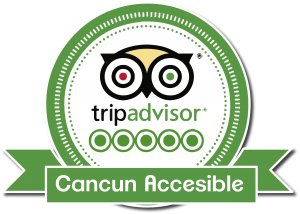 Trip Advisor